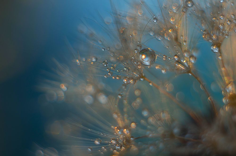 Photograph by Марина Мурашова