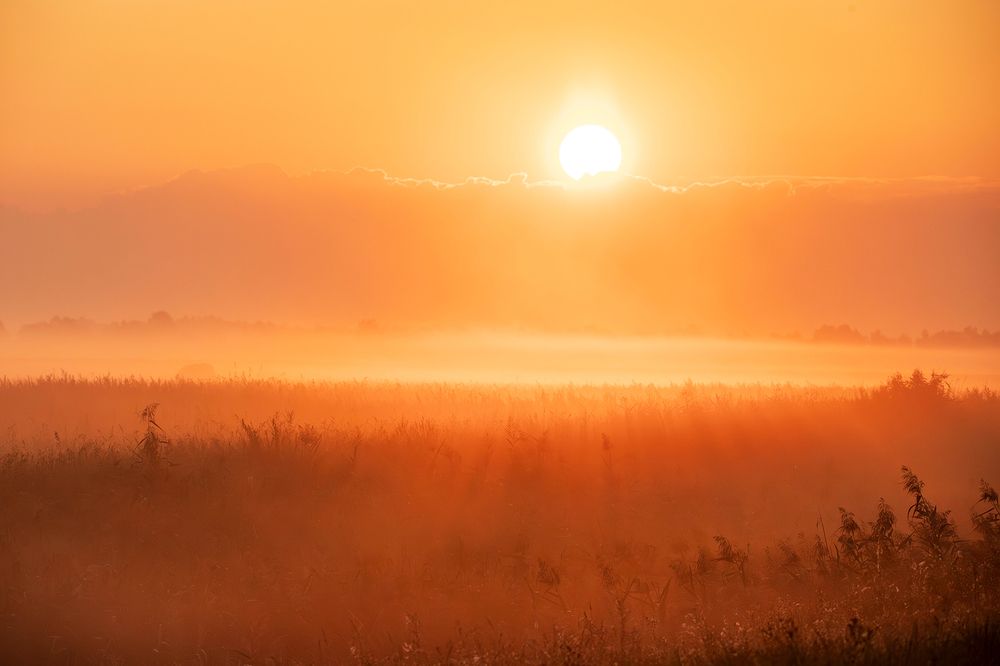 Photograph by Алёна Тиханович