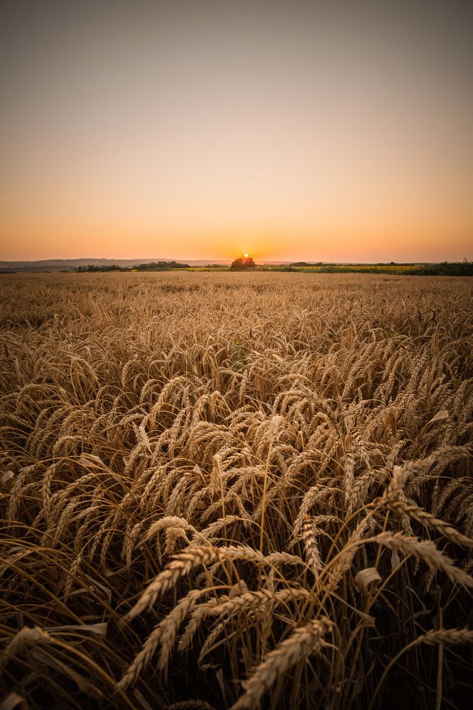 Photograph by Филипп Бабенко