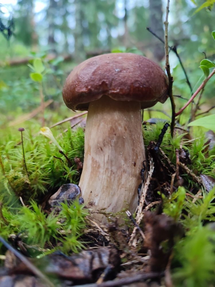 Photograph by Сергей Симаков