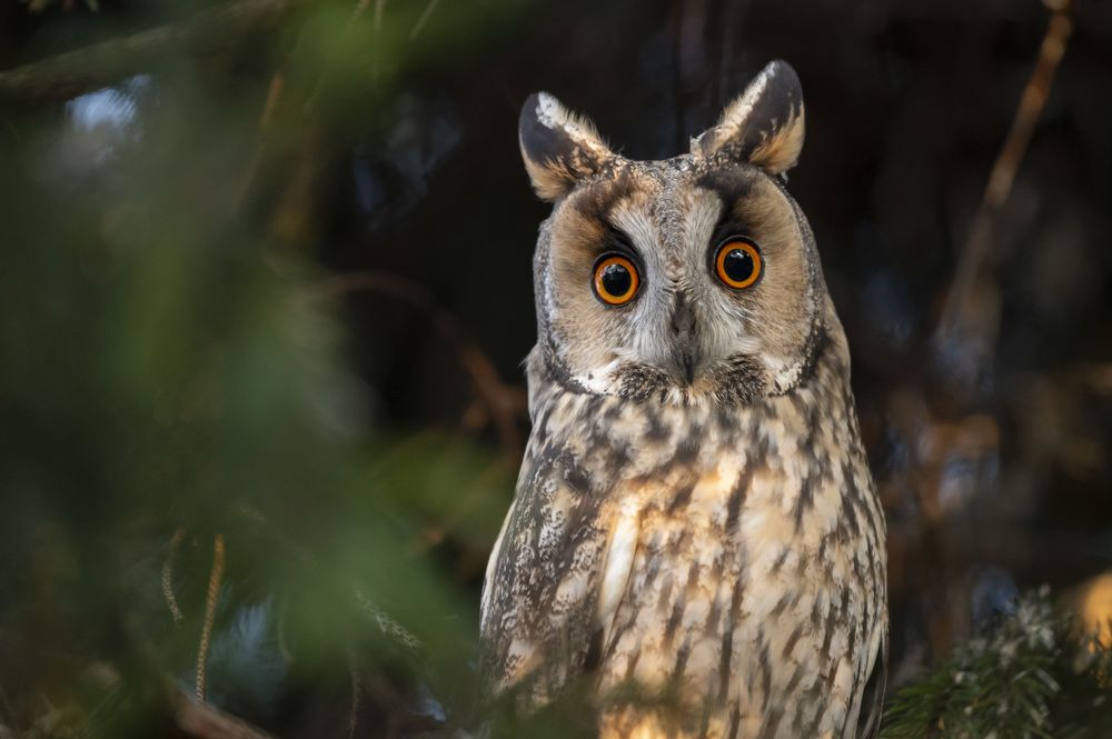 Photograph by levi bagy