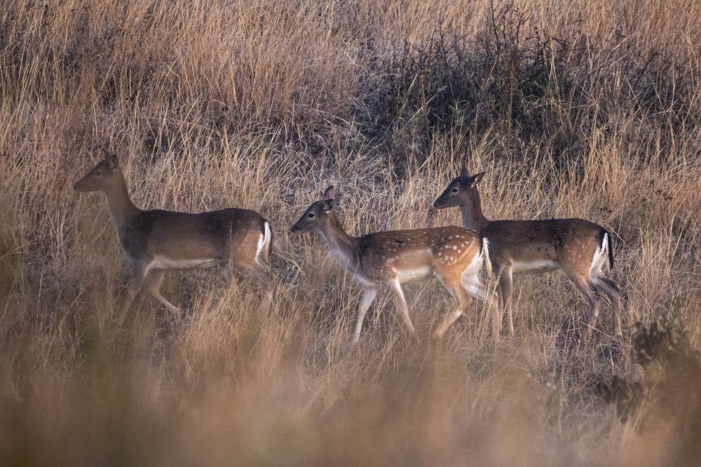 Photograph by levi bagy