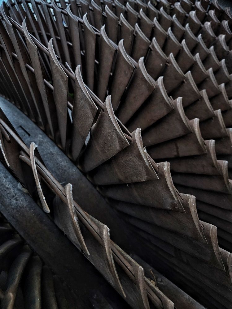 Photograph by Natali AB