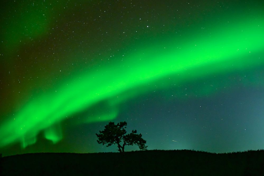 Photograph by Tanzilya Gabidullina