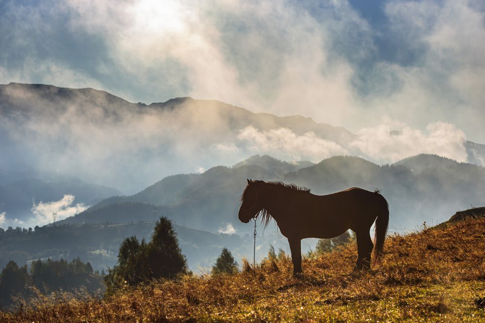 Photograph by levi bagy