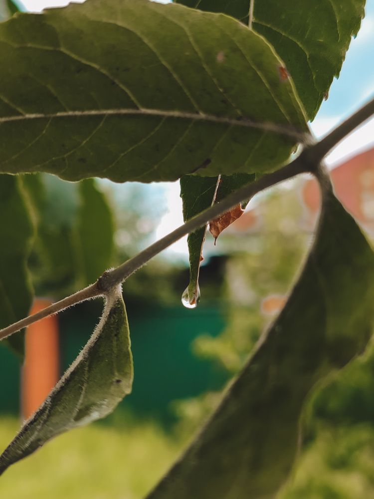 Фотография автора Любовь