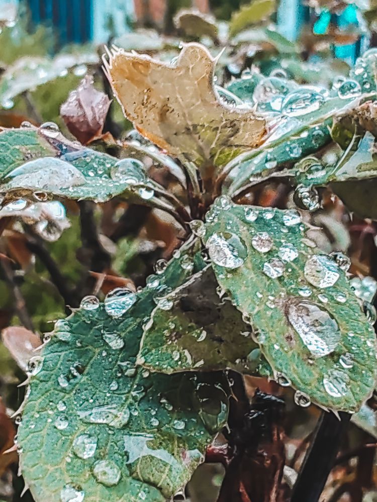 Фотография автора Любовь