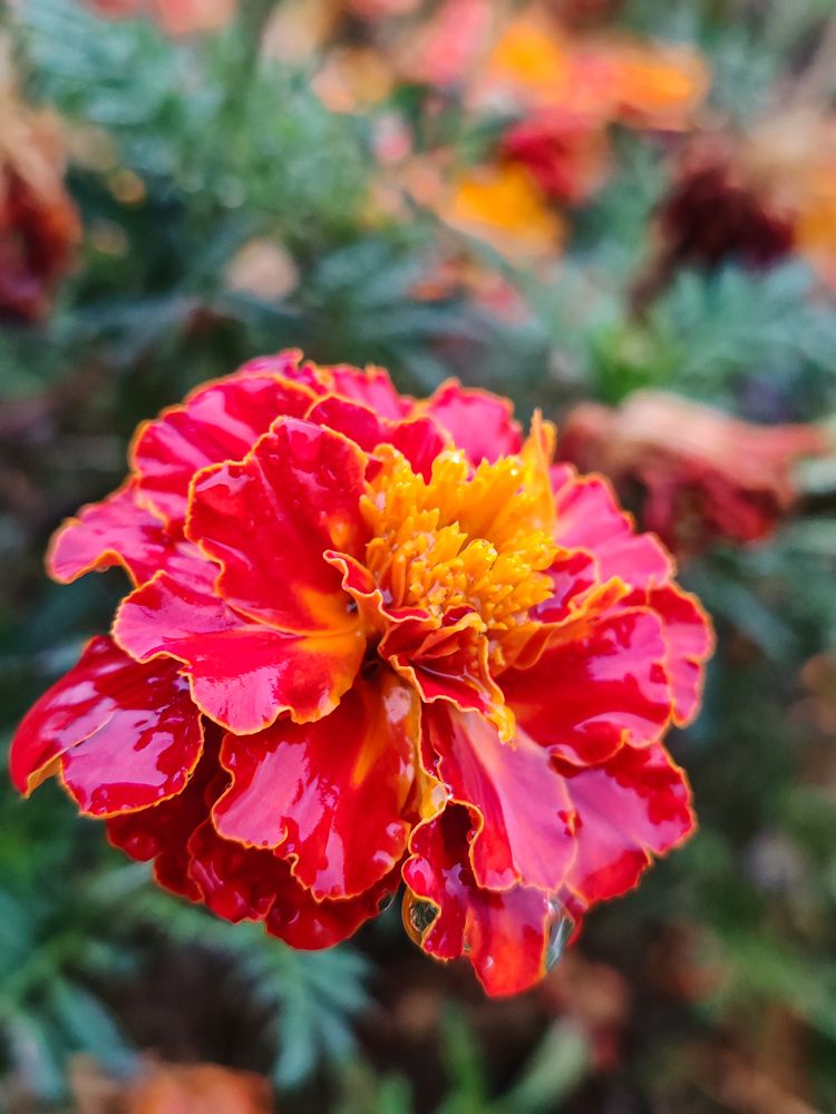 Фотография автора Любовь