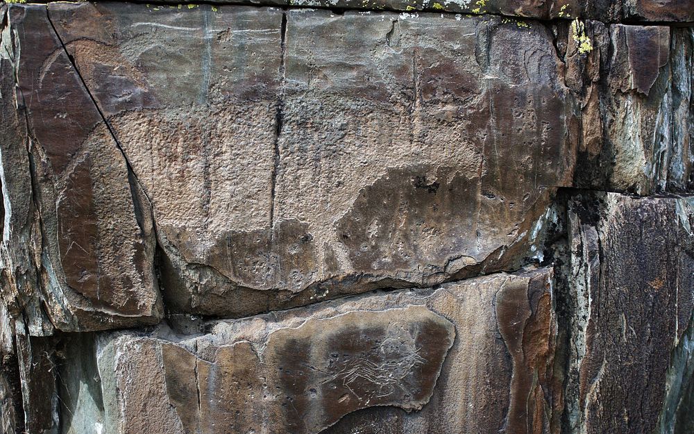 Photograph by Мария Самоловова