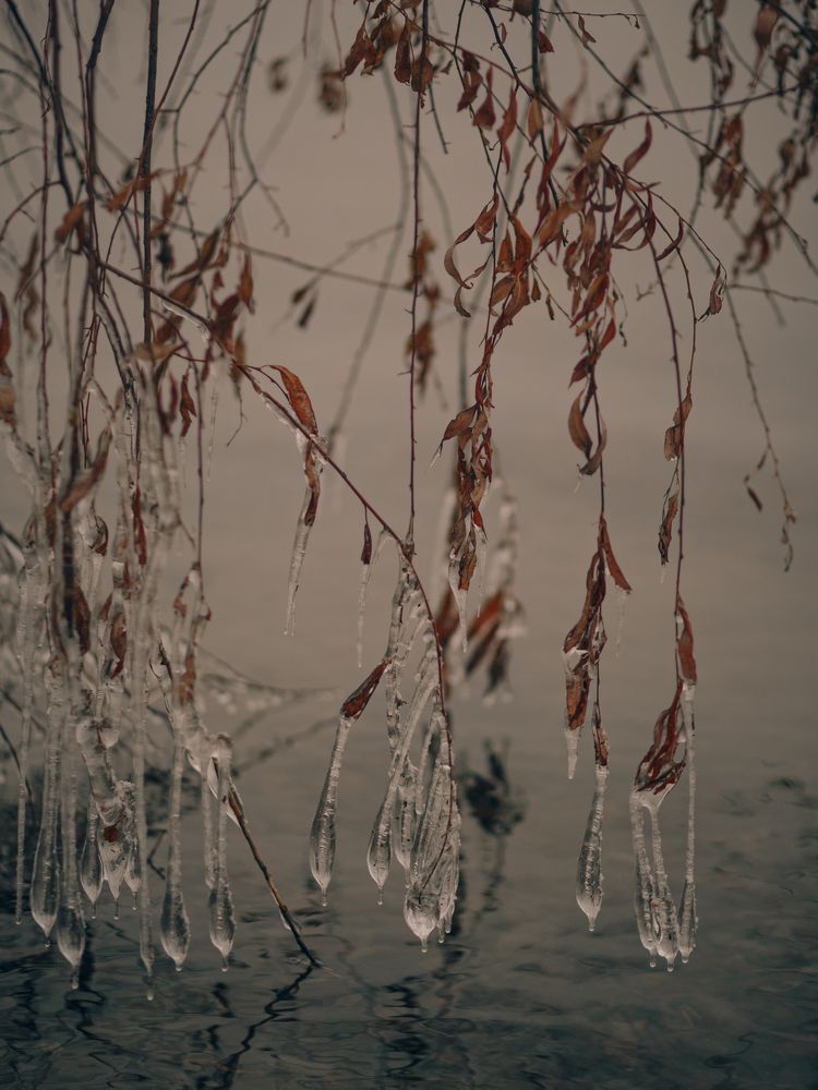 Фотография автора Елена Чиликина