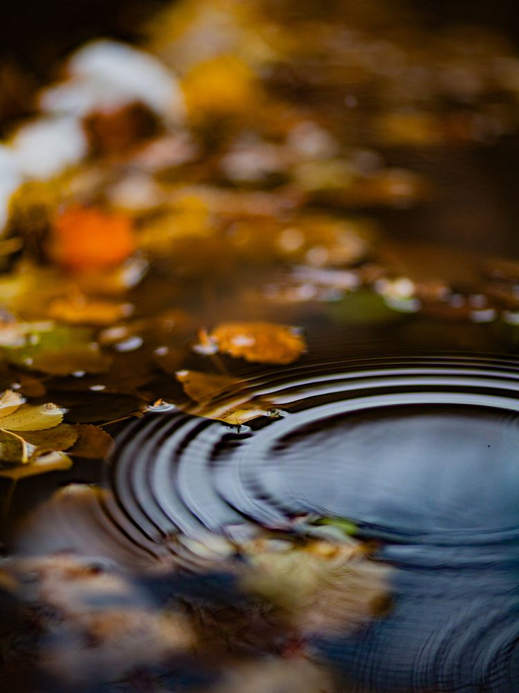 Фотография автора Елена Чиликина