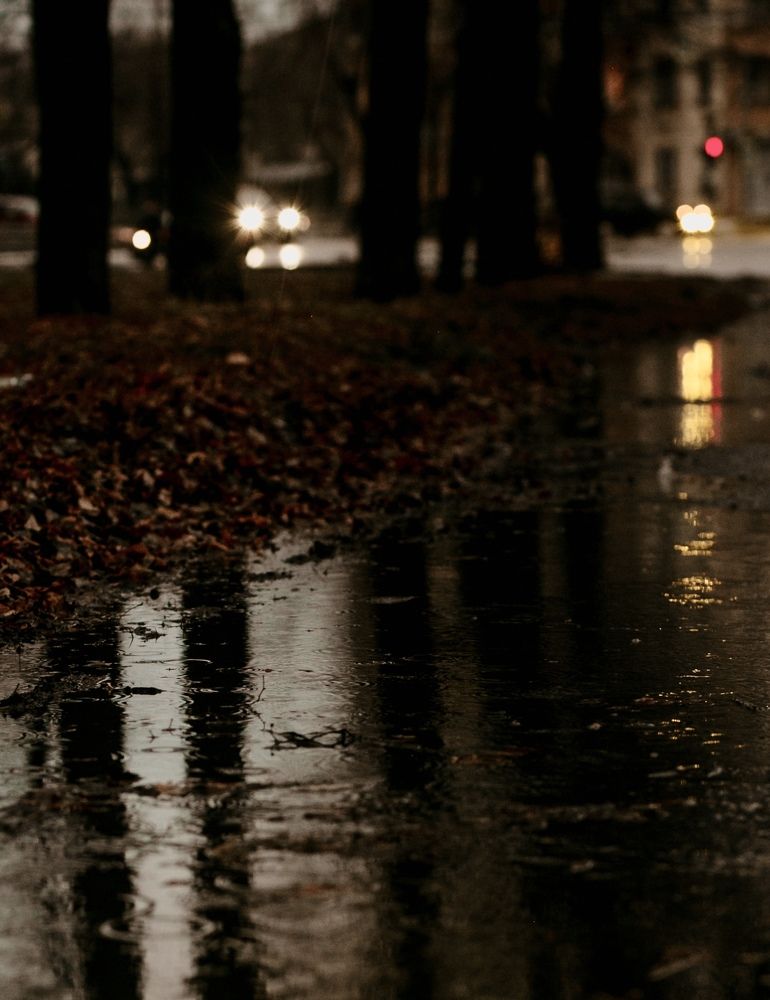 Фотография автора Елена Чиликина