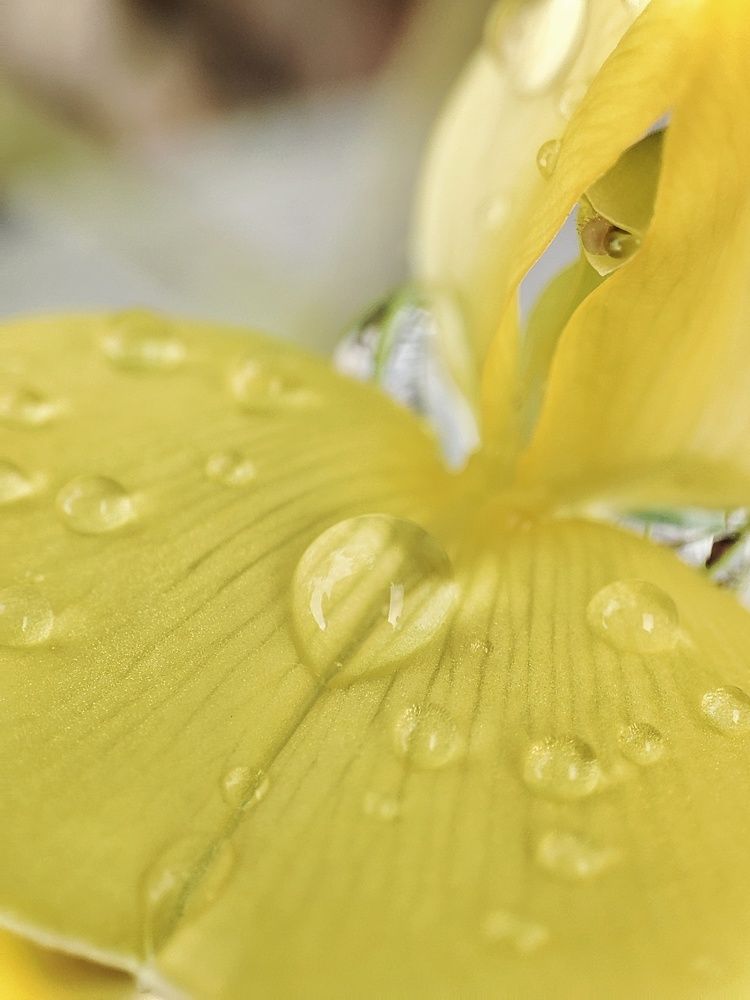 Photograph by Meilany Wijaya