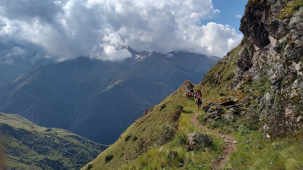 Photo #11471703