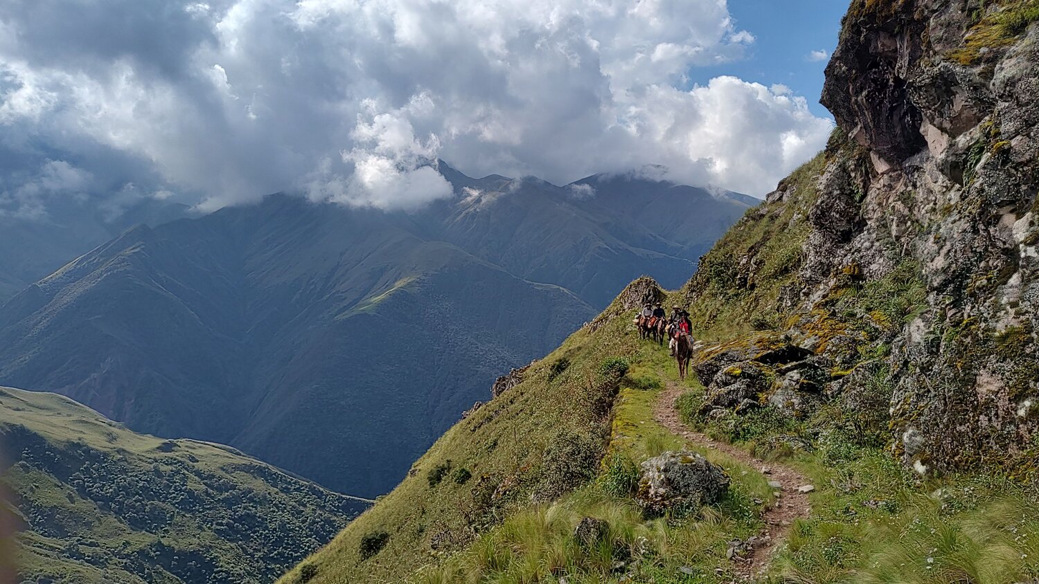 Photo #11471703