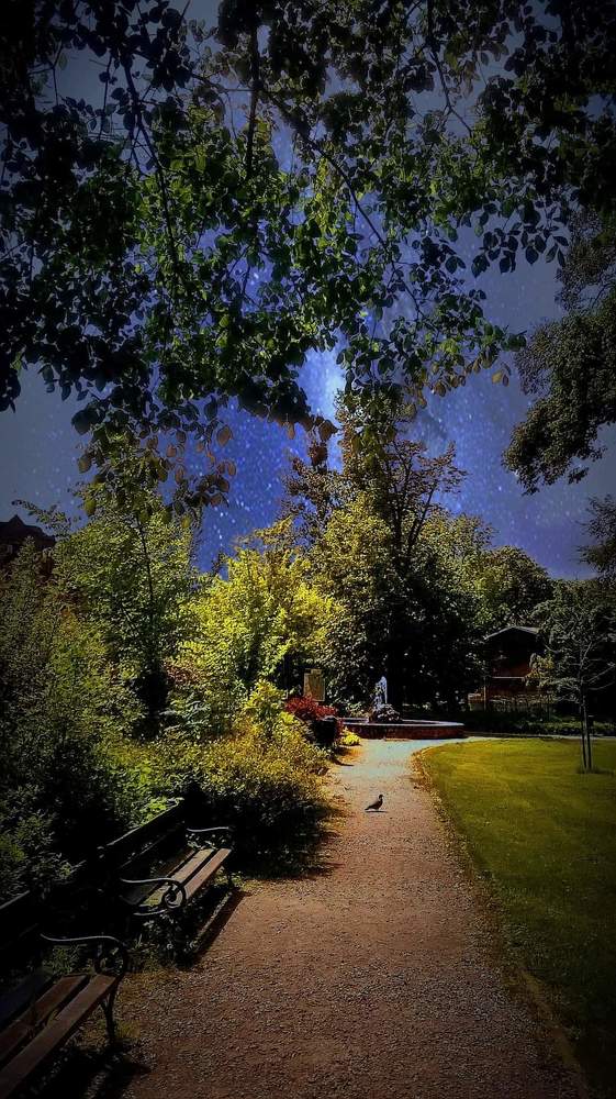 Фотография автора Rafał Piekarski