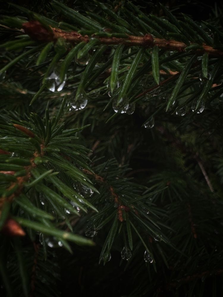 Фотография автора Вера