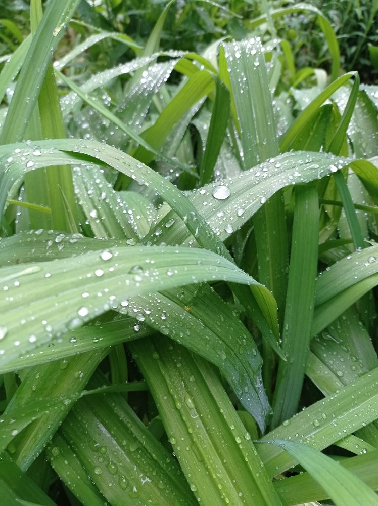 Photograph by Ирина Марченко