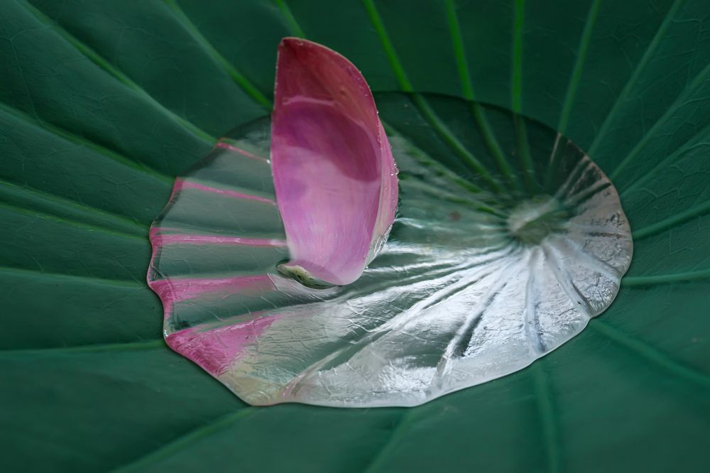 Photograph by Ольга Мусиенко