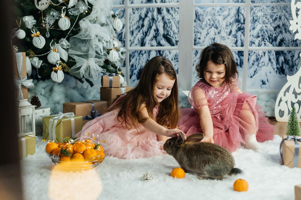 Photograph by Нефедова Ангелина