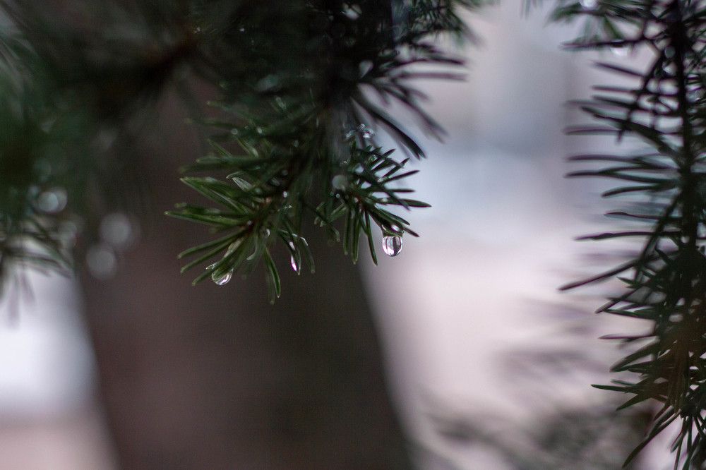 Photograph by Евгения Юркина