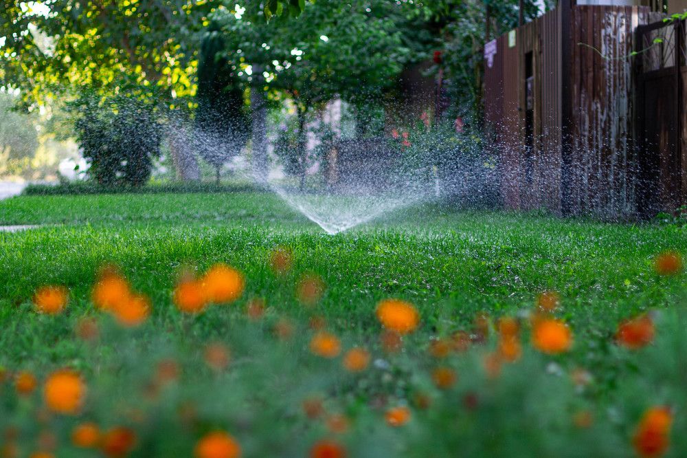 Photograph by Евгения Юркина