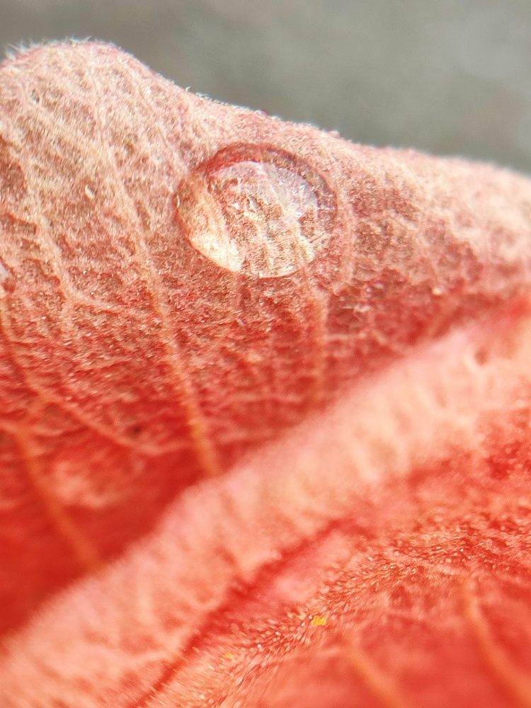 Photograph by Meilany Wijaya