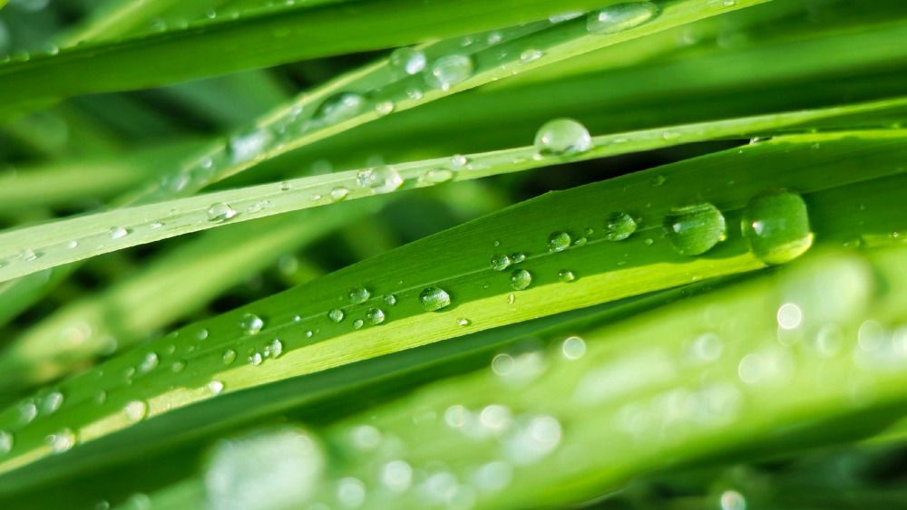 Photograph by Алина Эбель