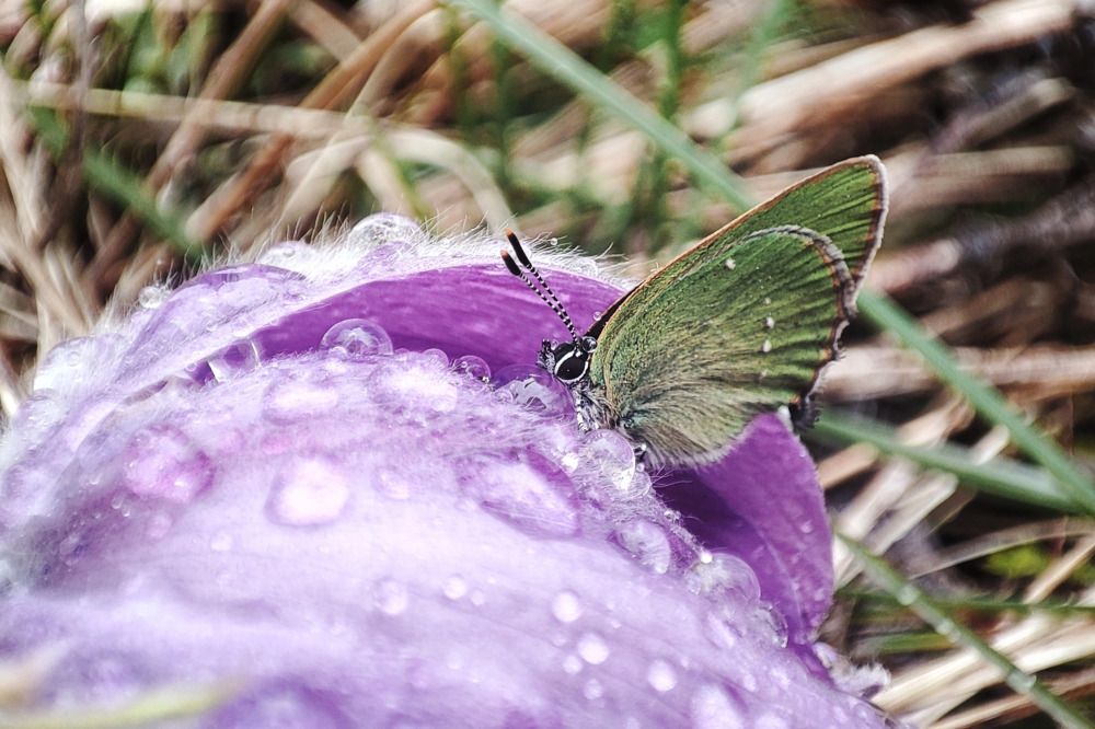 Photograph by Алина Эбель