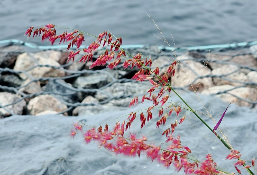 Photograph by Gr Marie