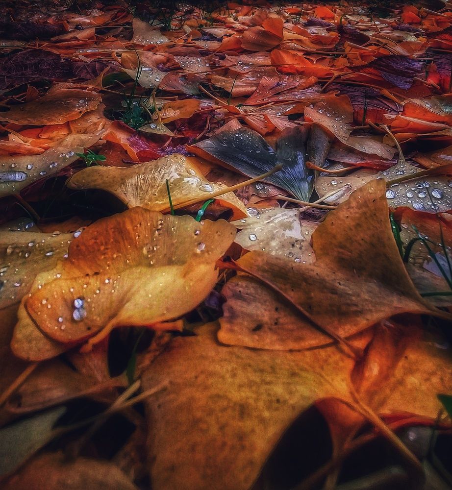 Photograph by Roberto Hagemann