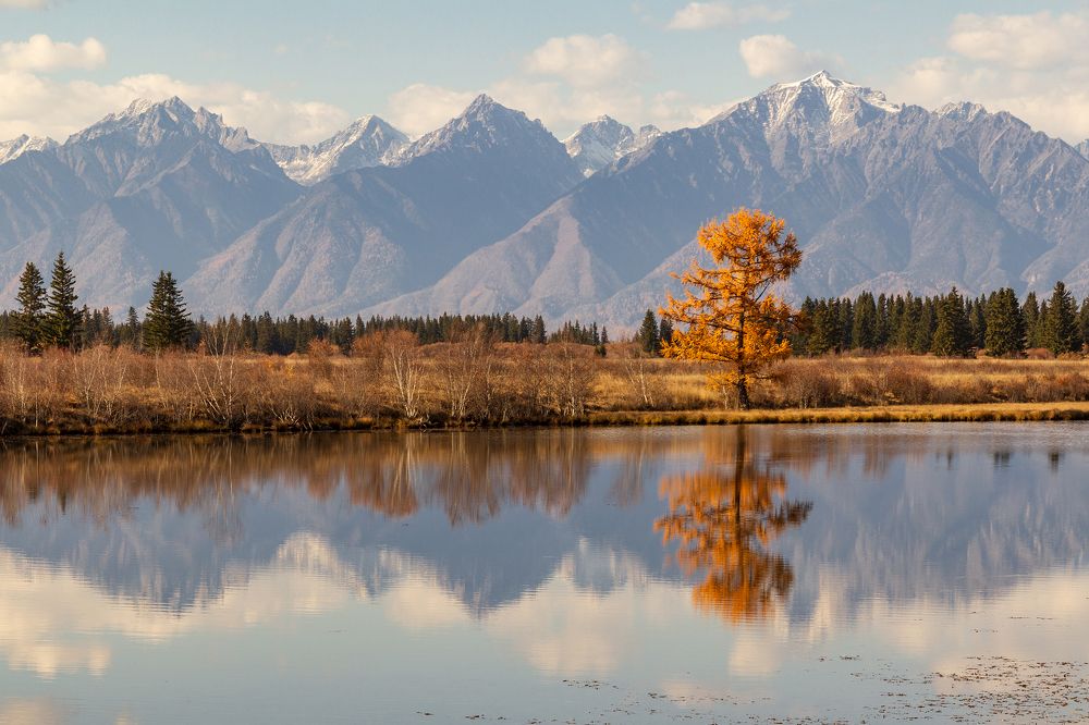 Photograph by Koledova Irina