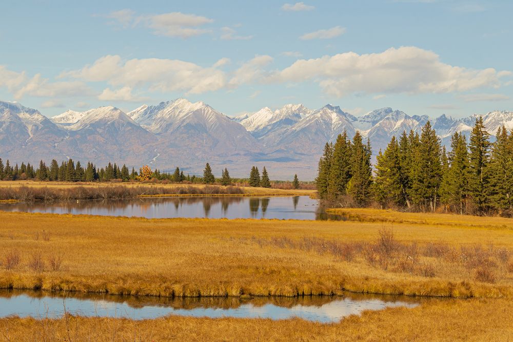 Photograph by Koledova Irina