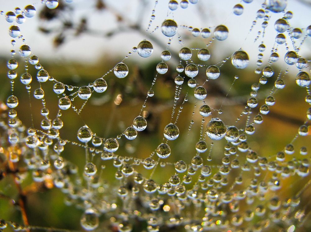 Photograph by Екатерина Родина