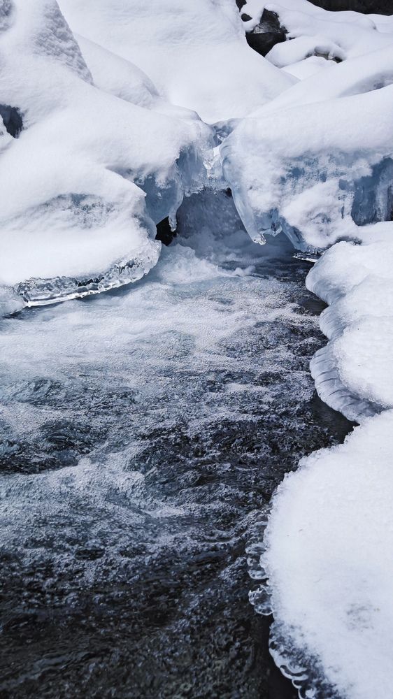 Фотография автора Вера Красюкова