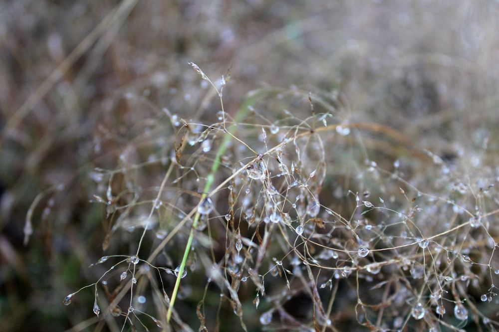 Photograph by Olga Bagaeva