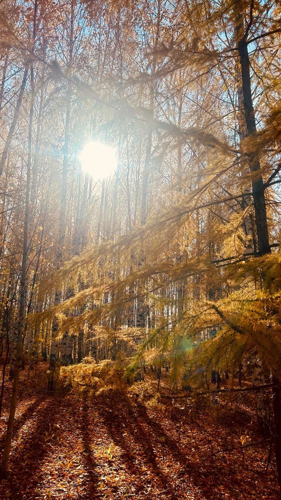 Photograph by Александра