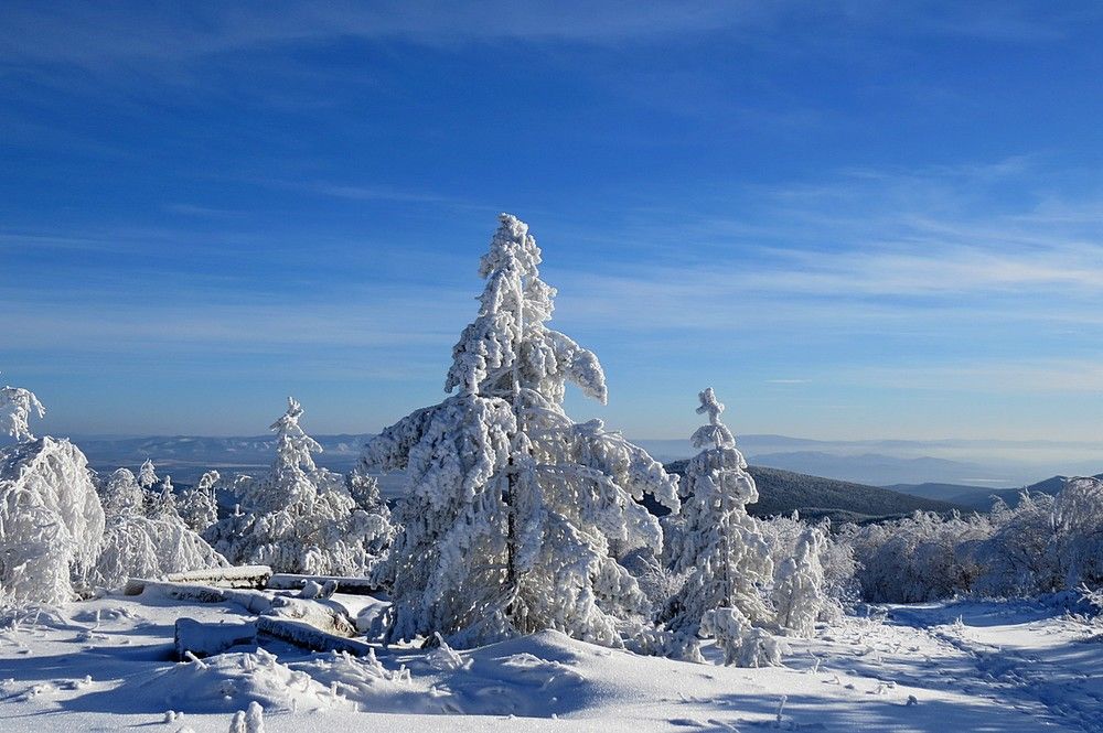 Поет зима, аукает...