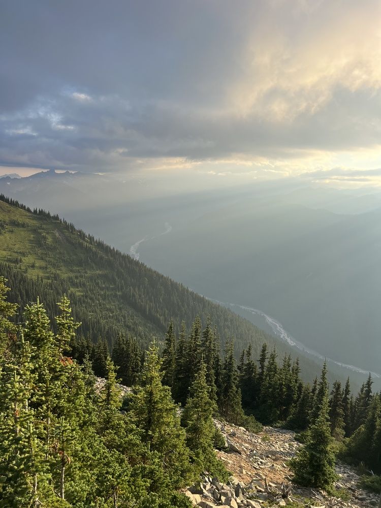 Фотография автора Diana