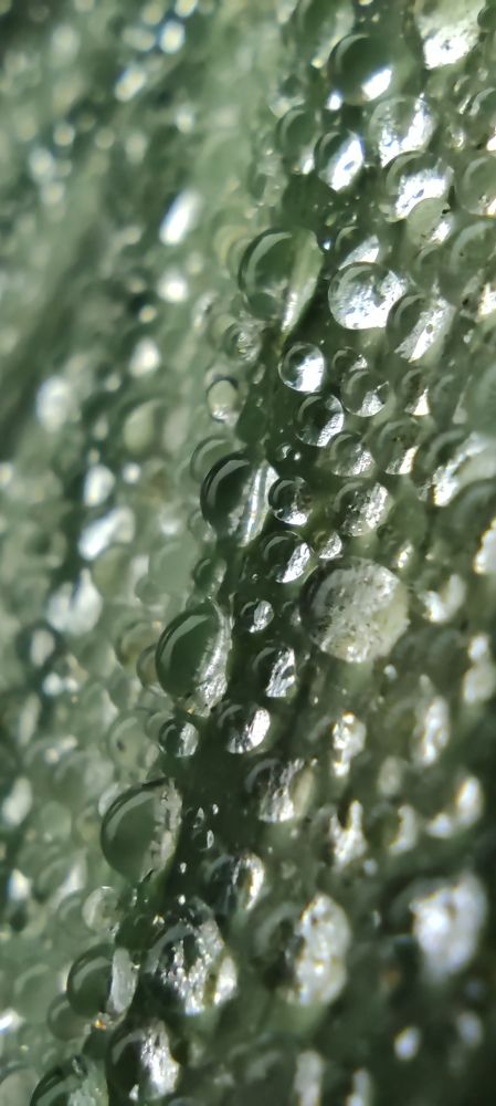 Photograph by Елизавета Можельская