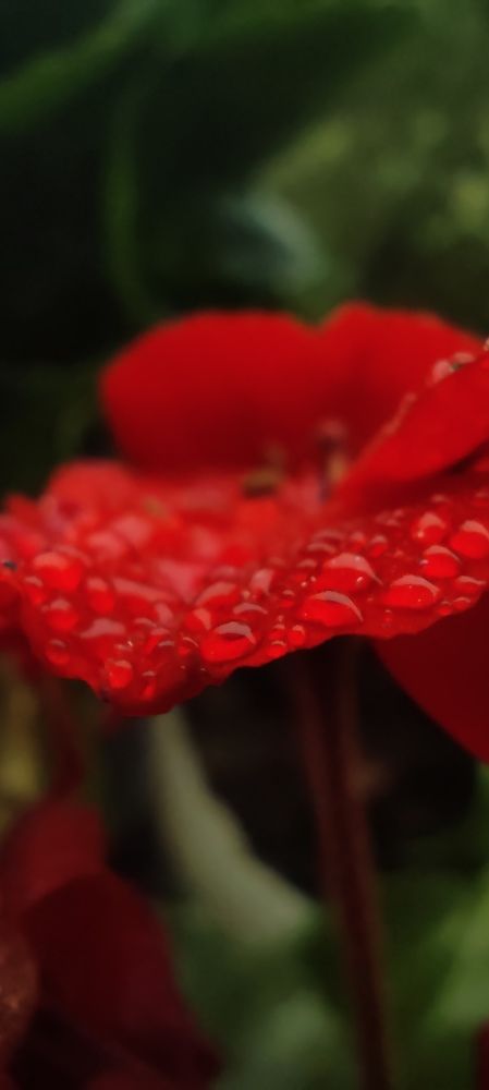 Photograph by Елизавета Можельская