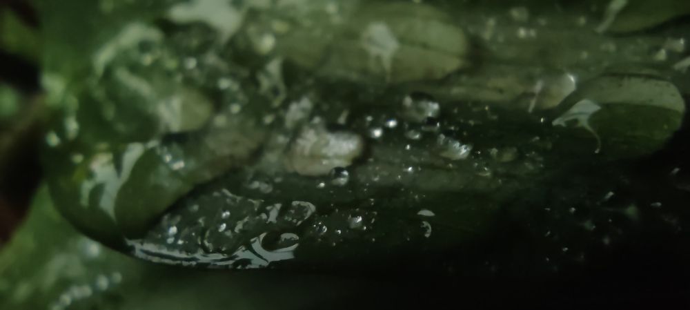 Photograph by Елизавета Можельская