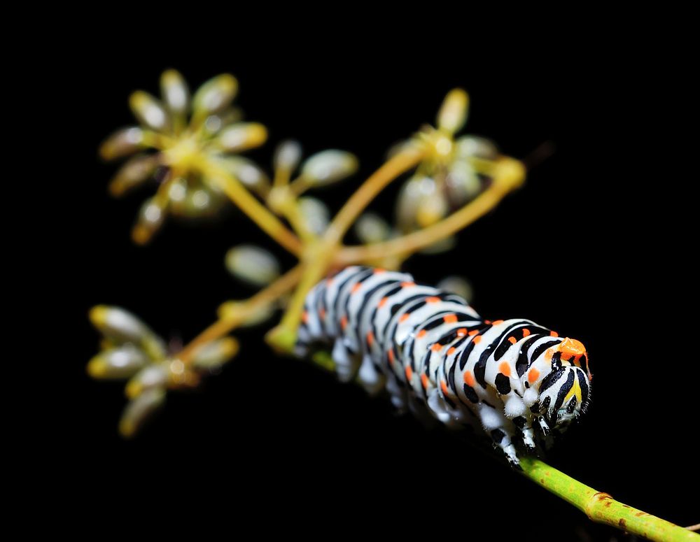 Photograph by Bekir Yesiltas