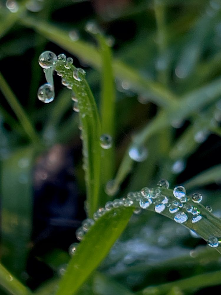 Photograph by Eugenia Schmidt