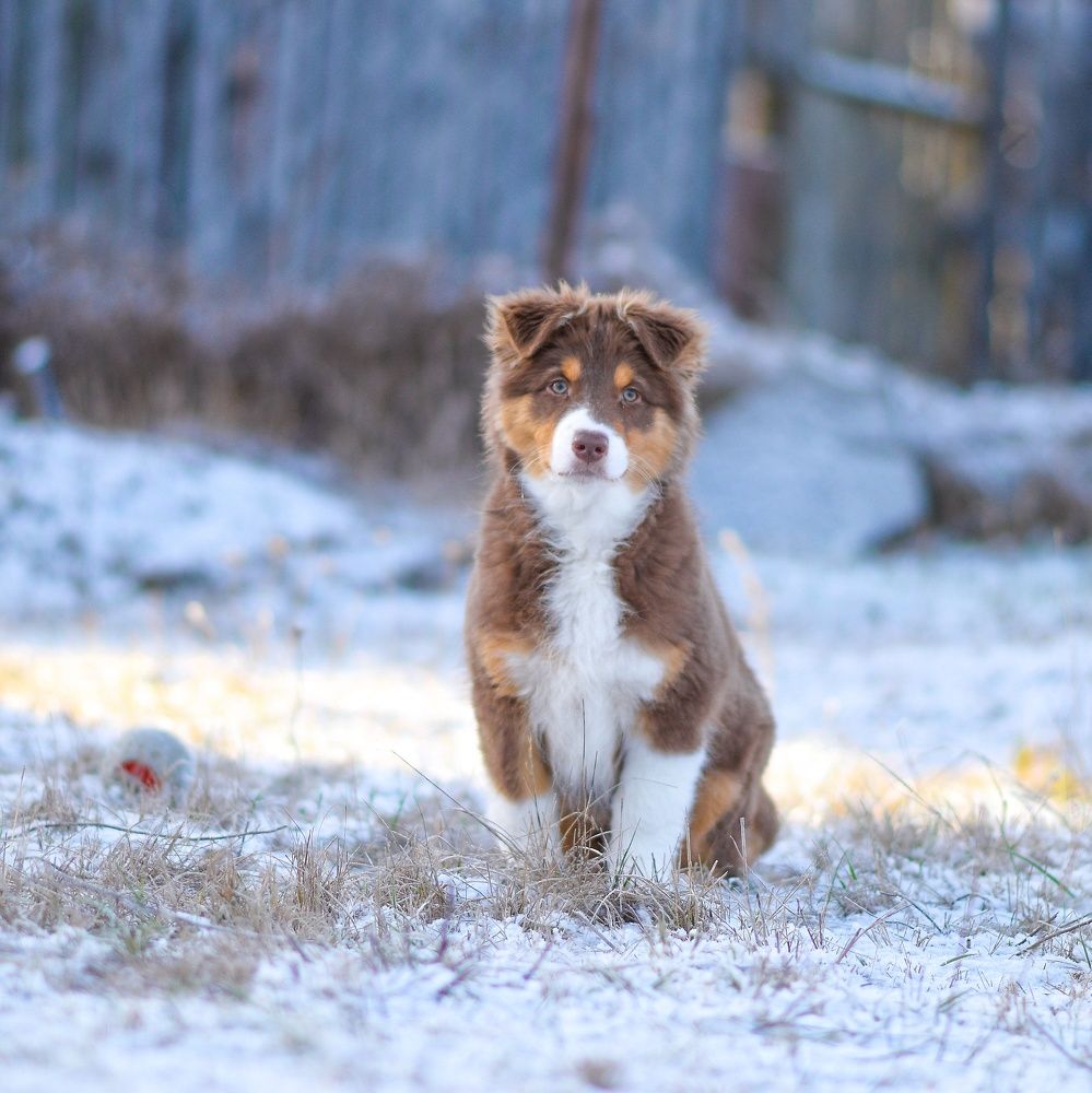 Фотография автора Мария Климова