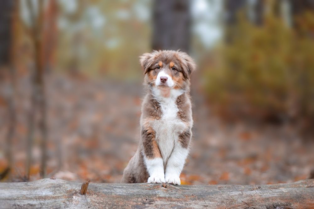 Фотография автора Мария Климова