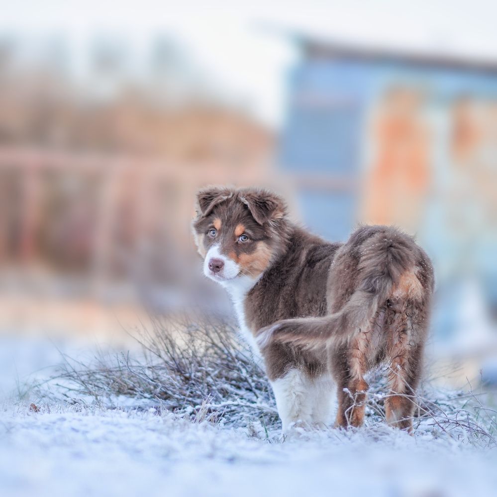 Фотография автора Мария Климова