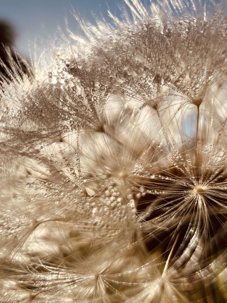 Photograph by Eugenia Schmidt