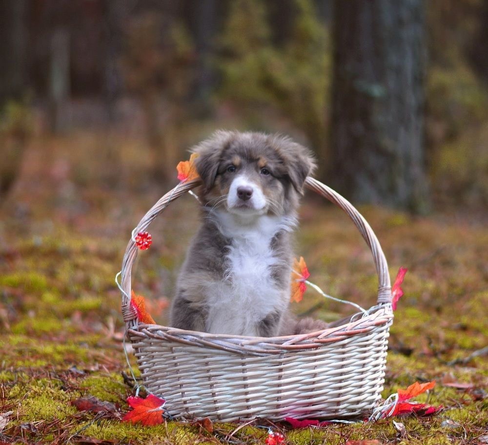 Фотография автора Мария Климова