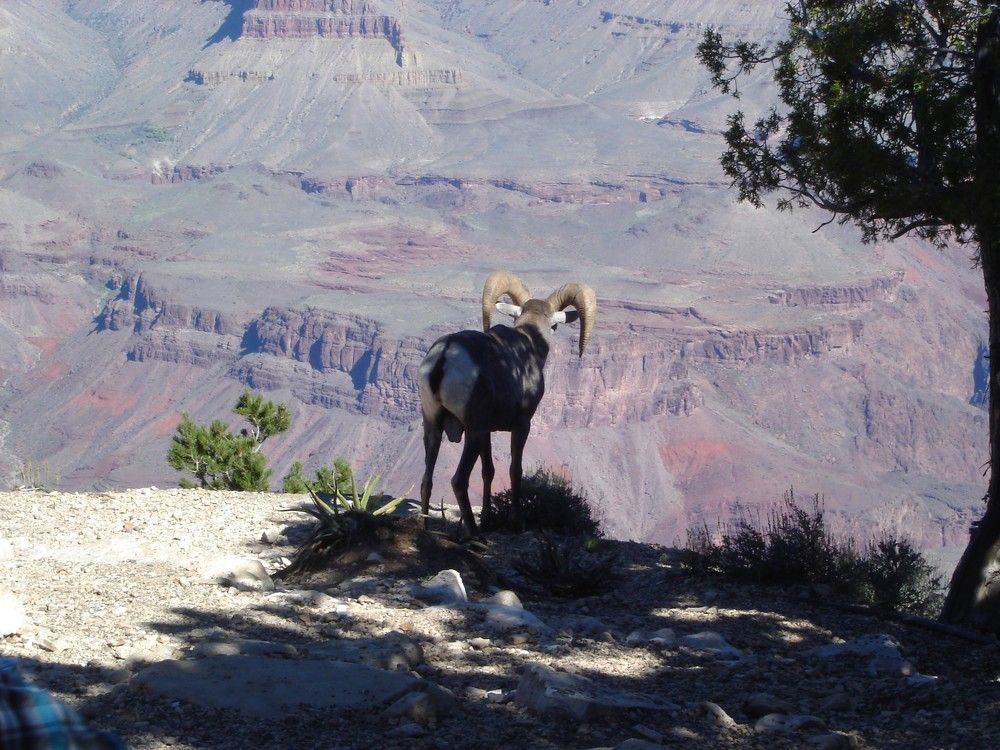 Photograph by Ирина Орлова